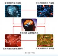<b>奥博脑功能康复治疗仪|引起腔隙性脑梗塞的主要原因是什么</b>